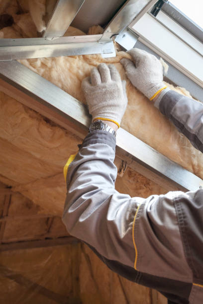 Best Insulation Replacement Services  in China Spring, TX
