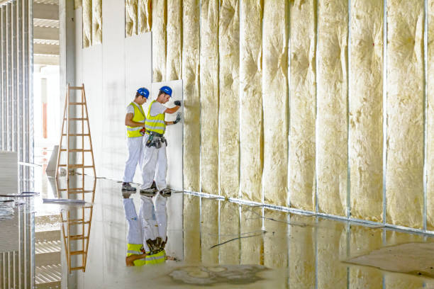 Best Attic Insulation Installation  in China Spring, TX